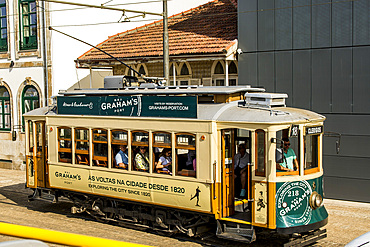 Tram public transit, Porto, Norte, Portugal, Europe