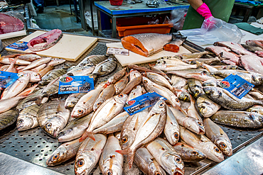 Faro Municipal Market (Mercado Municipal de Faro), Mercado municipal, Faro, ALgarve, Portugal, Europe.