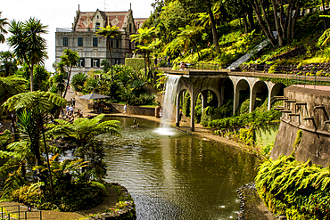 Poco dos Desejos (Well of Desires) lagoon at The Monte Palace Tropical Garden, Funchal, Madeira, Portugal.