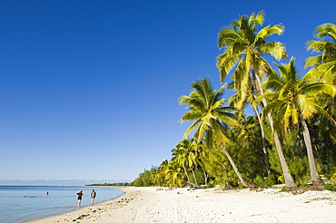 Aitutaki, Cook Islands, South Pacific, Pacific