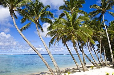 Rarotonga, Cook Islands, South Pacific, Pacific