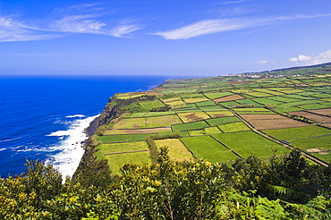 Coastline at Ponta do Raminho near the village of Raminho, Terceira, Azores, Portugal, Atlantic, Europe