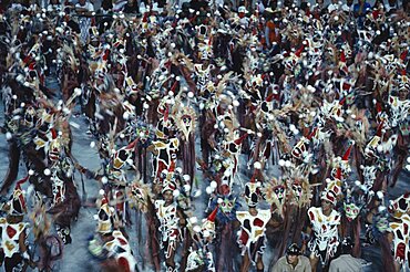 BRAZIL  Rio de Janeiro Carnival procession of dancers dressed in feathered costumes Brasil