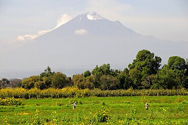 Mexico, Puebla, Popocatepetl, View towards volcanic cone of Popocatepetl with figures working in the fields in the foreground.