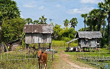 Cambodia, Architecture, Rural stilt housing.