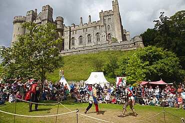 England, West Sussex, Arundel, Jousting festival in the grounds of Arundel Castle.