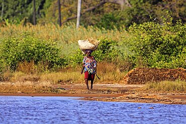 Gambia, People, Woman walking bare footed towards water carrying straw on her head.