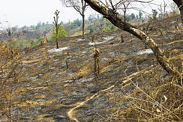 Bangladesh, Chittagong Division, Bandarban, Hillsides burned in the traditional slash and burn style of juma agriculture.