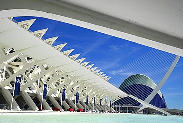 Spain, Valencia Province, Valencia, Spain, Valencia Province, Valencia, La Ciudad de las Artes y las Ciencias, City of Arts and Sciences, Principe Felipe Science Museum, El Pont de l'Assut de l'Or Bridge and Agora.