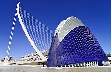 Spain, Valencia Province, Valencia, La Ciudad de las Artes y las Ciencias, City of Arts and Sciences, Principe Felipe Science Museum framed by El Pont de l'Assut de l'Or with the Agora in foreground.