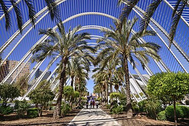 Spain, Valencia Province, Valencia, Spain, Valencia Province, Valencia, La Ciudad de las Artes y las Ciencias, City of Arts and Sciences, Interior of the Umbracle sculpture garden.