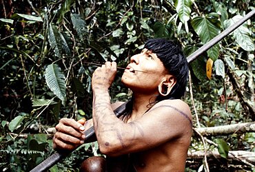 ECUADOR Upper Amazon People Waorani Indian hunter with blowpipe and poison dart