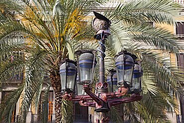 Spain, Catalonia, Barcelona, Ornate street lamp and palm trees in Placa Reial.