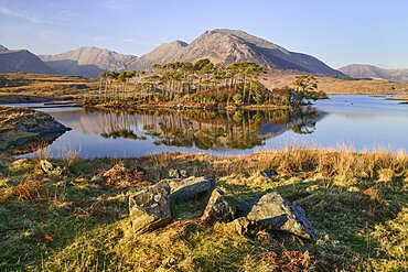 Ireland, County Galway, Connemara, Derryclare Lough.