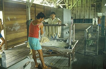 BRAZIL Near Santar?m Betterra Local rubber factory with men making rubber gloves