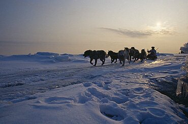 RUSSIA Siberia Tchukotka Nalrus and seal Innuit eskimo hunt.  Husky drawn sleigh in part silhouette against skyline of snow covered landscape.