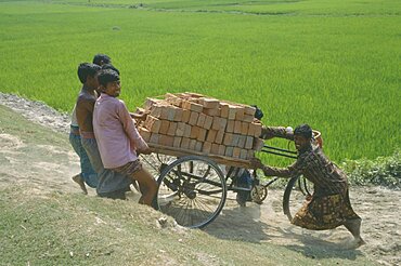 BANGLADESH  Agriculture Group of men transporting load of bricks using three wheel bicycle with wooden platform.