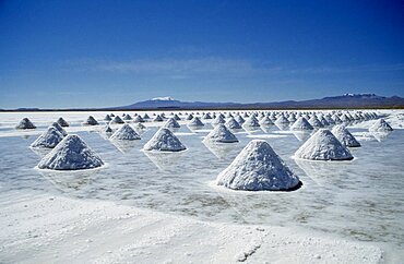 BOLIVIA Uyuni Salar de Uyuni Salt flats with salt shovelled in to piles awaiting collection