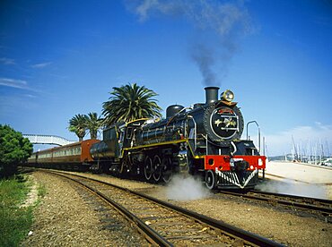 SOUTH AFRICA Western Cape Knysna Tootsie engine of the National Train Collection travelling between George and Knysna.