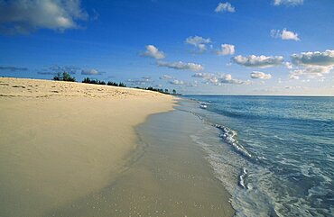 SEYCHELLES  Bird Island Shoreline of quiet sandy beach.