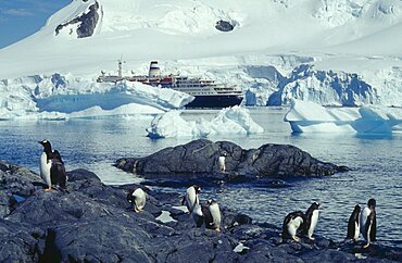 ANTARCTICA Antarctic Peninsula Paradise Harbour Marco Polo cruise ship with penguin colony on rocks in foreground.