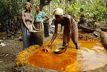 SIERRA LEONE  The Mende Women processing Palm Oil.