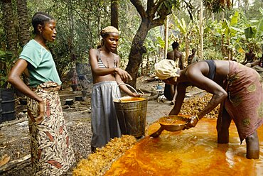 SIERRA LEONE  The Mende Women processing Palm Oil