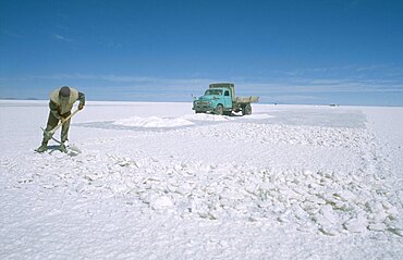 BOLIVIA Potosi Altiplano Salar de Uyuni.  Miner on expanse of salt flats near Colchani.