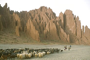 BOLIVIA  Potosi Shepherd woman returning home for the night with her flock of sheep and goats in area near Palala and Tupiza.