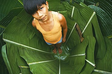 COLOMBIA Amazonas Santa Isabel Young Macuna boy standing in a hole lined with Heliconia leaves used for storing manioc starch.