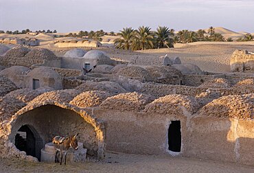 ALGERIA  Sahara Traditional mud architecture with donkey in foreground.