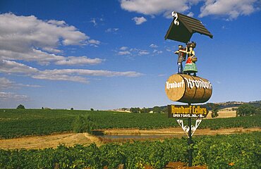 AUSTRALIA South Australia Barossa Valley Krondorf vineyards.