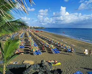 SPAIN Canary Islands Lanzarote Puerto del Carmen.  Sandy beach with lines of blue sun loungers and orange and green parasols for hire.  Few people sunbathing and hotels beyond.