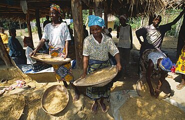 Liberia, Margibi Wohn Women winnowing grain.