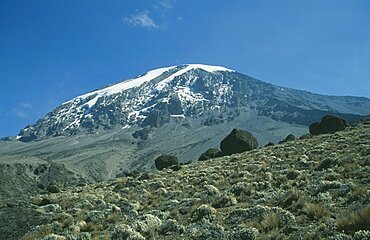 TANZANIA  Mount Kilimanjaro Snow covered peak of Kilimanjaro with alpine desert plants in the foreground. 5895 m