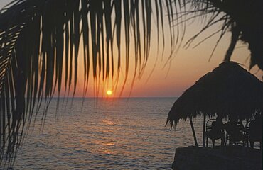 WEST INDIES Jamaica Negril Ricks Cafe at sunset through coconut palm tree with tourist sitting under thatched sun shade