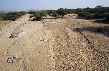 ERITREA Environment Drought Dried up river bed.