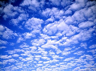 WEATHER  Clouds  White fluffy clouds in blue sky.