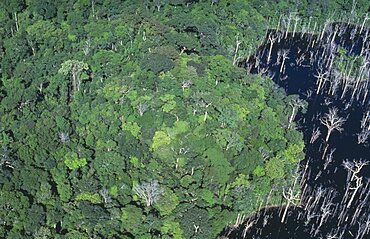 BRAZIL Amazon Para Aerial view over tropical rainforest drowned by the Tucurui reservoir on the Tocantins River.  Brasil