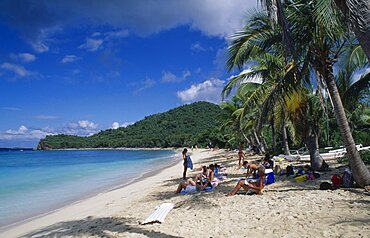 BRITISH VIRGIN IS  Tortola Occupied sandy beach with overhanging palm trees