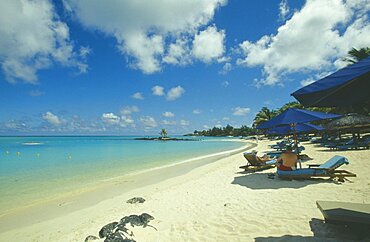 MAURITIUS  Grand Bay The beach at the Mauritius Hotel. People on sun loungers  and umbrellas.