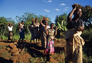 MALAWI  Mulanje Bwanali village development committee road building project.  Women building access road.