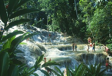 WEST INDIES Jamaica Ocho Rios Dunns River Falls through trees with tourists walking in the pools