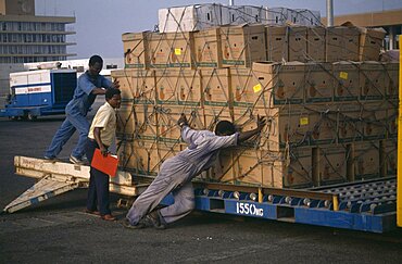 GHANA  Accra Loading crates of pineapples for export at Accra airport.  West Africa