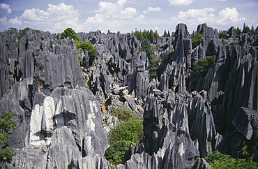 CHINA Yunnan Stone Forest View over the grey limestone pillars near Kunming