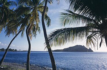 DOMINICA South Scotts Head Shoreline and bay with palm trees in foreground. Windward Islands