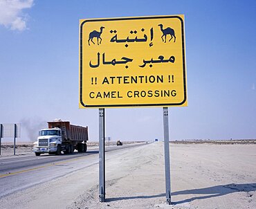 SAUDI ARABIA  Transport Camel Crossing road sign on Eastern Highway to Dammam with passing truck behind. Lorry