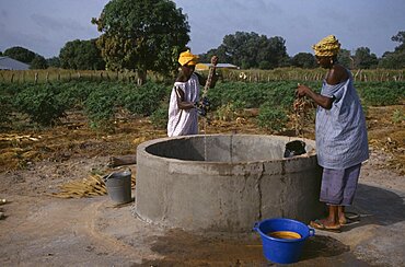 GAMBIA  Agriculture Women collecting water from well for vegetable plots. African Gambian Western Africa Female Woman Girl Lady Farming Agraian Agricultural Growing Husbandry  Land Producing Raising Female Women Girl Lady