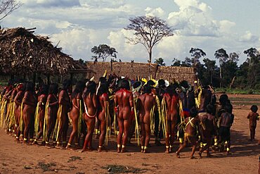 BRAZIL Mato Grosso Indigenous Park of the Xingu Panara men wearing crowns or head-dresses of feathers encircled by women painted with red karajuru and with long strips of plant fibres tied around upper arms during dance. Formally known as Kreen-Akrore  Krenhakarore  Krenakore  Krenakarore  Amazon American Brasil Brazilian Female Woman Girl Lady Indegent Kreen Akore Latin America Latino Male Man Guy South America Female Women Girl Lady Male Men Guy