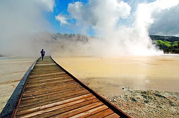 NEW ZEALAND NORTH ISLAND ROTORUA THE CHAMPAGNE POOL OF WAI O TAPU THERMAL WONDERLAND.THE SPRING IS 65 METRES IN DIAMETER AND 62 METRES DEEP.THE POOL WAS FORMED 700 YEARS AGO BY A HYDROTHERMAL ERUPTION.VARIOUS MINERALS ARE DEPOSITED AROUND THE SURROUNDING SINTER LEDGE OF THE POOL PRODUCING MANY DIFFERENT COLOURS. Antipodean Oceania